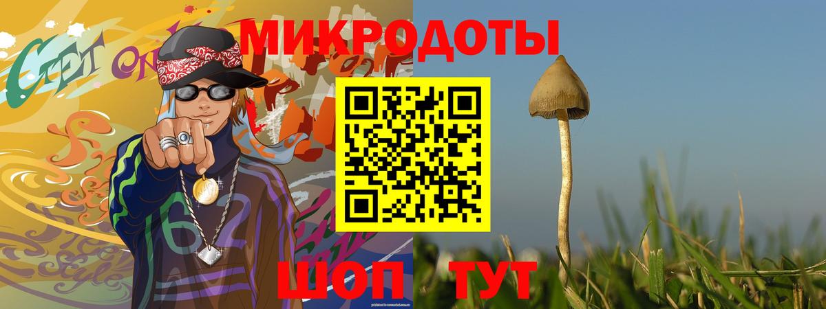 Галлюциногенные грибы Psilocybine cubensis Можга